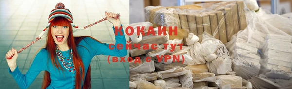 ПСИЛОЦИБИНОВЫЕ ГРИБЫ Михайлов