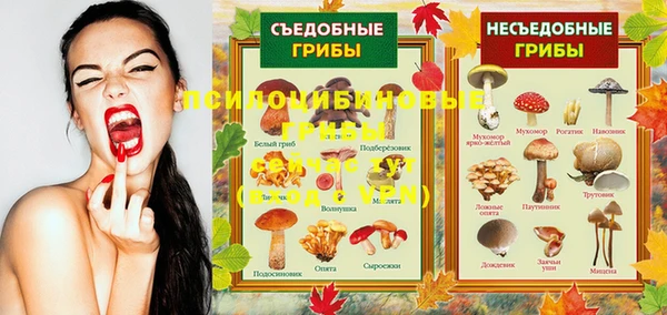 PSILOCYBIN Алексеевка