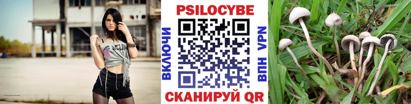 закладки  Ханты-Мансийск  Галлюциногенные грибы мухоморы 